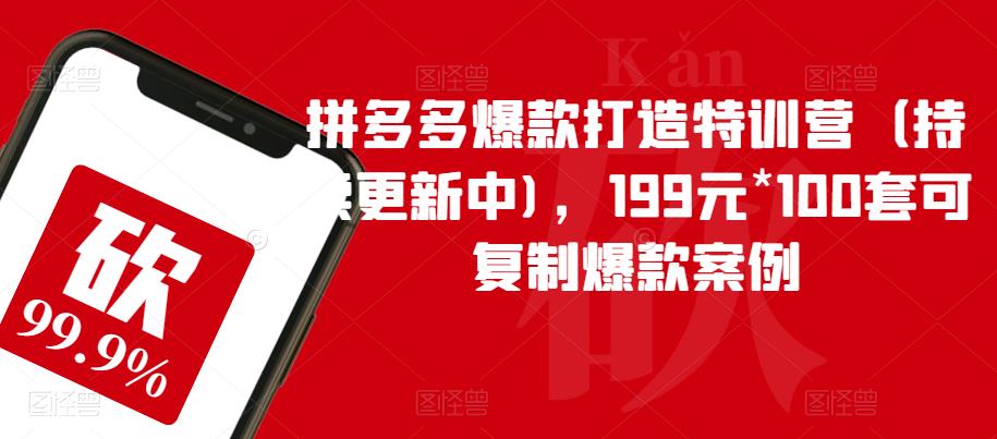 拼多多爆款打造特训营(持续更新中),199元*100套可复制爆款案例|淘骐网赚资源库