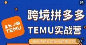 大鹏出海·拼多多跨境temu运营指导，开店注册+选品+核价上架，日出千单实战课|淘骐网赚资源库