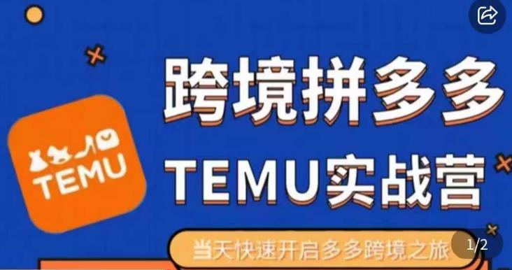 大鹏出海·拼多多跨境temu运营指导,开店注册+选品+核价上架,日出千单实战课|淘骐网赚资源库