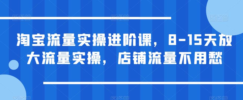淘宝流量实操进阶课,8-15天放大流量实操,店铺流量不用愁|淘骐网赚资源库