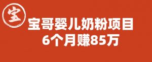 宝哥婴儿奶粉项目,6个月赚85w【图文非视频】【揭秘】|淘骐网赚资源库