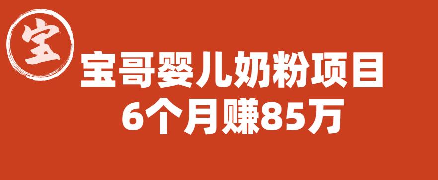 宝哥婴儿奶粉项目,6个月赚85w【图文非视频】【揭秘】|淘骐网赚资源库