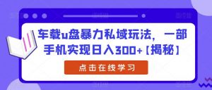 车载u盘暴力私域玩法,一部手机实现日入300+【揭秘】|淘骐网赚资源库