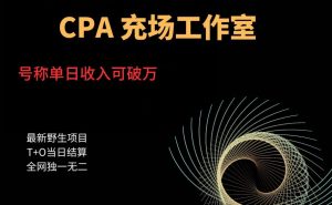 cpa充场工作室，号称单日收入10000+（揭秘）|淘骐网赚资源库