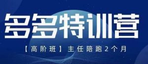纪主任·5月最新多多特训营高阶班,玩法落地实操,多多全掌握|淘骐网赚资源库