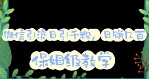 微信互推圈半自动引流方案,矩阵操作日引千人思路【详细视频教程】|淘骐网赚资源库