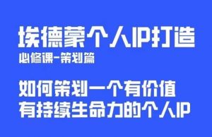 埃德蒙普通人都能起飞的个人IP策划课,如何策划一个优质个人IP|淘骐网赚资源库