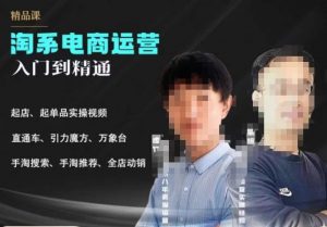 2023手淘搜索实操课+体系化课程,起店起单品实操视频课程|淘骐网赚资源库