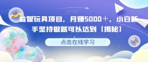 益智玩具项目，月赚5000＋，小白新手坚持做就可以达到【揭秘】|淘骐网赚资源库
