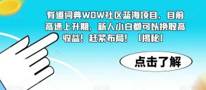 有道词典WOW社区蓝海项目,目前高速上升期,新人小白都可以换取高收益!赶紧布局!【揭秘】|淘骐网赚资源库