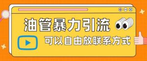 油管暴力引流，可以自由放联系方式【揭秘】|淘骐网赚资源库