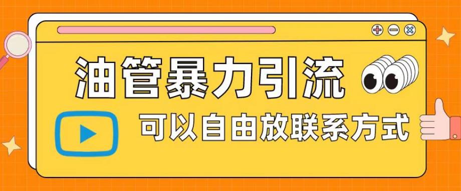 油管暴力引流,可以自由放联系方式【揭秘】|淘骐网赚资源库