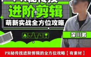 PR进阶剪辑培训班,让你快速成为剪辑大师12节视频课程+素材!|淘骐网赚资源库