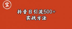 宝哥抖音直播引流私域的6个方法，日引流500+|淘骐网赚资源库