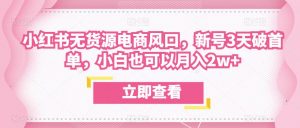 众狼电商余文小红书无货源电商风口,新号3天破首单,小白也可以月入2w+|淘骐网赚资源库