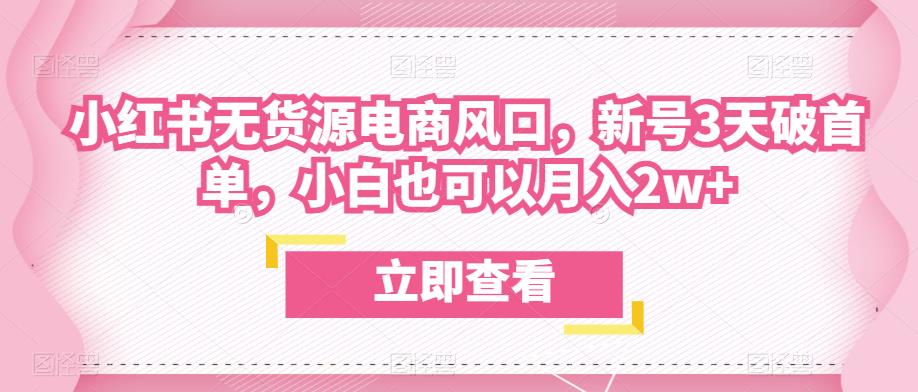 众狼电商余文小红书无货源电商风口,新号3天破首单,小白也可以月入2w+|淘骐网赚资源库