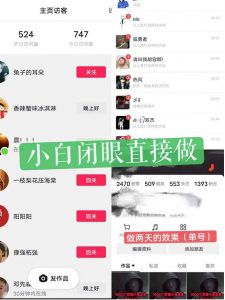 一天做完别一辈子的视频制作最近很火的《1000个野路子信息差》100%过原创【揭秘】|淘骐网赚资源库