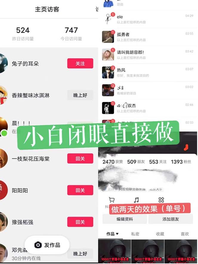 一天做完别一辈子的视频制作最近很火的《1000个野路子信息差》100%过原创【揭秘】|淘骐网赚资源库