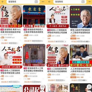 拆解小红书宝宝起名虚拟副业项目,一条龙实操玩法分享给你(教程+软件)|淘骐网赚资源库