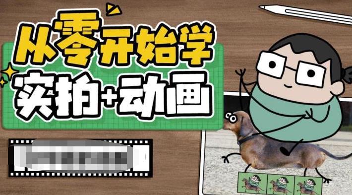 从零开始学实拍加动画，实拍加动画创意教程|淘骐网赚资源库