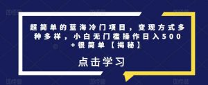 超简单的蓝海冷门项目，变现方式多种多样，小白无门槛操作日入500+很简单【揭秘】|淘骐网赚资源库