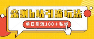 亲测b站引流玩法,单日引流100+私域,简单粗暴,超适合新手小白|淘骐网赚资源库