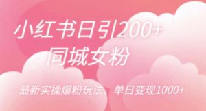 小红书日引200+同城女粉，最新实操爆粉玩法，单日变现1000+【揭秘】|淘骐网赚资源库