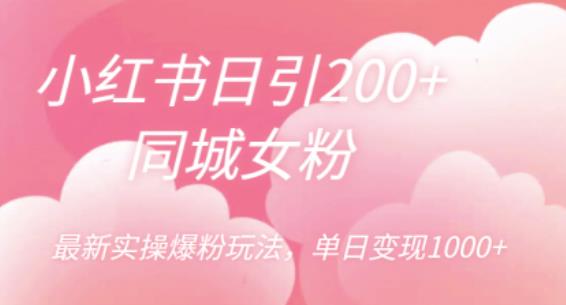 小红书日引200+同城女粉，最新实操爆粉玩法，单日变现1000+【揭秘】|淘骐网赚资源库