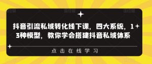 抖音引流私域转化线下课,四大系统,13种模型,教你学会搭建抖音私域体系|淘骐网赚资源库