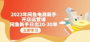 2023年闲鱼电商新手开店运营课:闲鱼新手日出20-30单(18节-实战干货)|淘骐网赚资源库