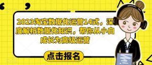 2023淘宝数据化运营14式,深度解析数据化知识,帮你从小白成长为高级运营|淘骐网赚资源库