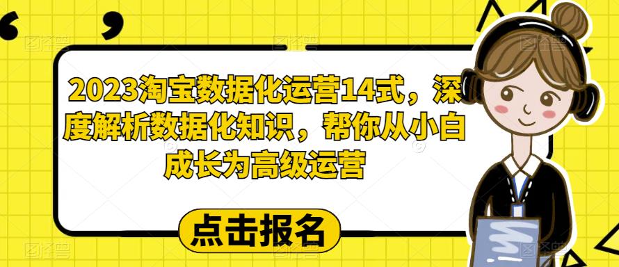 2023淘宝数据化运营14式,深度解析数据化知识,帮你从小白成长为高级运营|淘骐网赚资源库
