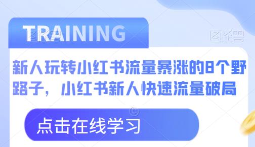 新人玩转小红书流量暴涨的8个野路子,小红书新人快速流量破局|淘骐网赚资源库