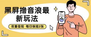 黑屏撸音浪最新玩法,双重变现,每日保底2张【揭秘】-第一资源库