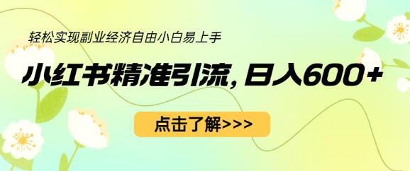 小红书精准引流，小白日入600+，轻松实现副业经济自由（教程+1153G资源）|淘骐网赚资源库