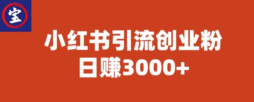 宝哥小红书引流创业粉,日赚3000+【揭秘】|淘骐网赚资源库