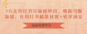 16天小红书导流接单营,教你引爆流量,在小红书精准获客+转化成交|淘骐网赚资源库