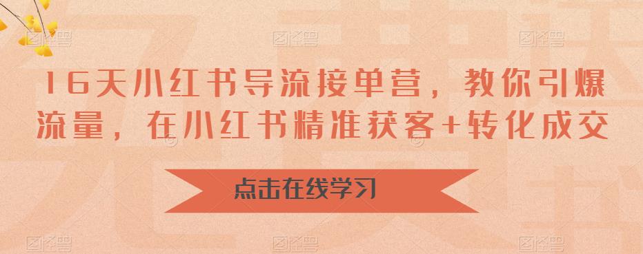16天小红书导流接单营,教你引爆流量,在小红书精准获客+转化成交|淘骐网赚资源库