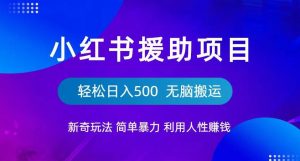 小红书援助项目新奇玩法，简单暴力，无脑搬运轻松日入500【揭秘】|淘骐网赚资源库