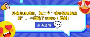 抖音蓝海项目，第二个“快手极速版拉新”，一周搞了7000+【揭秘】|淘骐网赚资源库