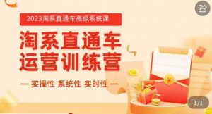 冠东·2023淘系直通车高级系统课,实操性,系统性,实时性,直通车完整体系教学|淘骐网赚资源库