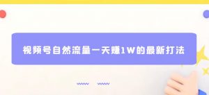 视频号自然流量一天赚1W的最新打法，基本0投资【揭秘】|淘骐网赚资源库