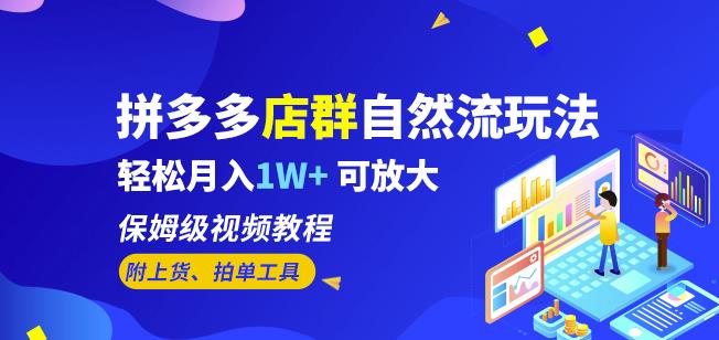 拼多多店群自然流玩法,轻松月入1W+保姆级视频教程(附上货、拍单工具)-第一资源库