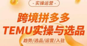 伍跃·跨境拼多多TEMU实操与选品,趋势/选品/运营/入住(27节完整)|淘骐网赚资源库