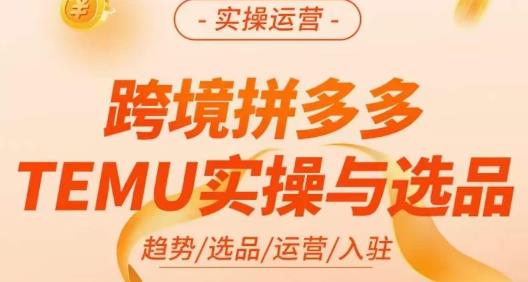 伍跃·跨境拼多多TEMU实操与选品，​趋势/选品/运营/入住（27节完整）|淘骐网赚资源库