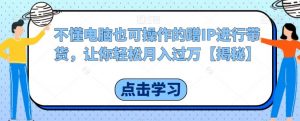 不懂电脑也可操作的蹭IP进行带货，让你轻松月入过万【揭秘】|淘骐网赚资源库