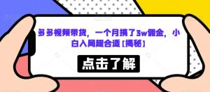 多多视频带货,一个月搞了3w佣金,小白入局超合适【揭秘】|淘骐网赚资源库