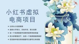 小红书虚拟电商从0到1，让你从小白到精英（20节实操课程）|淘骐网赚资源库