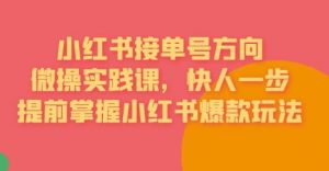 接单号方向·小红书微操实践课,快人一步,提前掌握小红书爆款玩法|淘骐网赚资源库
