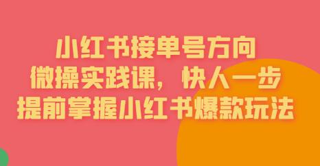 接单号方向·小红书微操实践课,快人一步,提前掌握小红书爆款玩法|淘骐网赚资源库